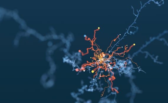 The future of healthcare: Preventative, personalised and precise