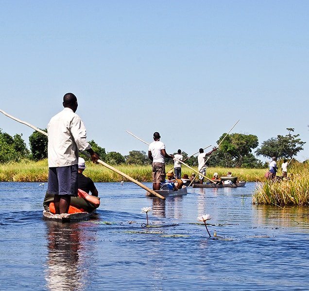 Canoe trip on the river through Okavango Delta